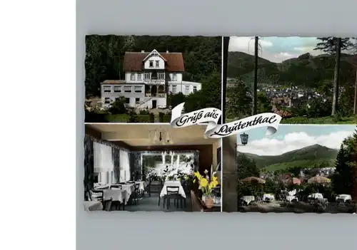 Lautenthal Harz Hotel - Pension - Cafe Bergfrieden / Langelsheim /Goslar LKR