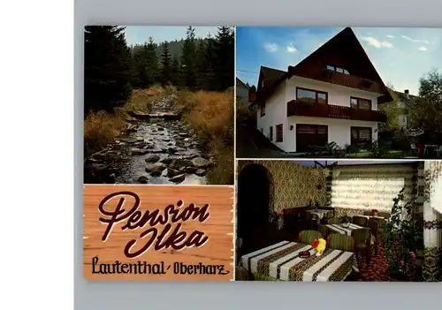 Lautenthal Harz Pension Ilka / Langelsheim /Goslar LKR