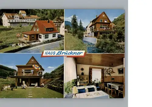 Wildemann Pension Brueckner / Wildemann Harz /Goslar LKR