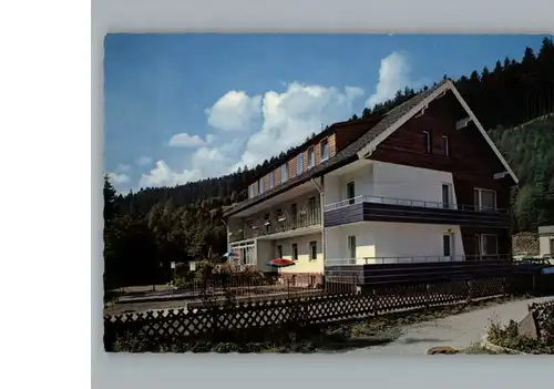 Wildemann Hotel - Pension Haus Vogelsang / Wildemann Harz /Goslar LKR