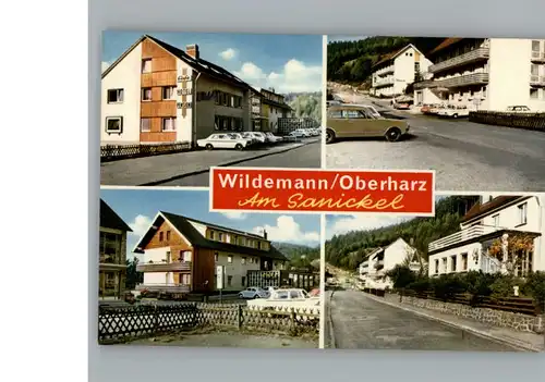 Wildemann Hotel  / Wildemann Harz /Goslar LKR