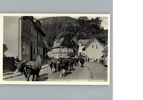 Wildemann  / Wildemann Harz /Goslar LKR