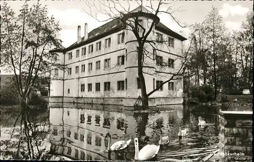 Bad Rappenau Schlosskurheim Schwaene Kat. Bad Rappenau