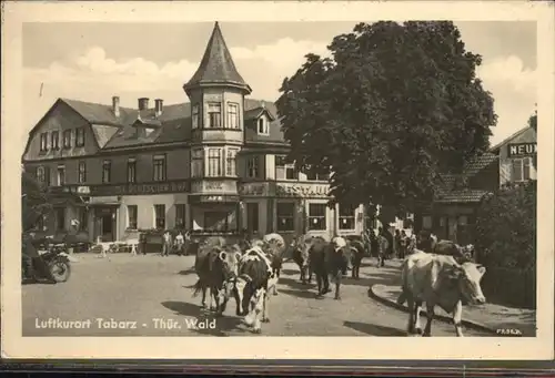 Tabarz Kuhherde Kat. Tabarz Thueringer Wald