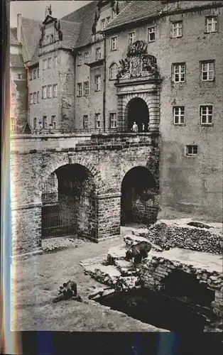 Torgau Schloss Hartenfels Baerenfreigehege Kat. Torgau