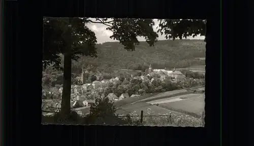 Bad Berleburg Teilansicht Schloss Kat. Bad Berleburg