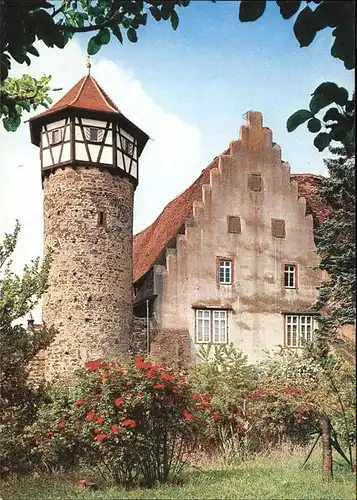 Michelstadt Historischer Diebesturm Kat. Michelstadt