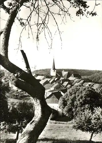 Manderscheid Eifel Lebensbaumkirche / Manderscheid /Bernkastel-Wittlich LKR