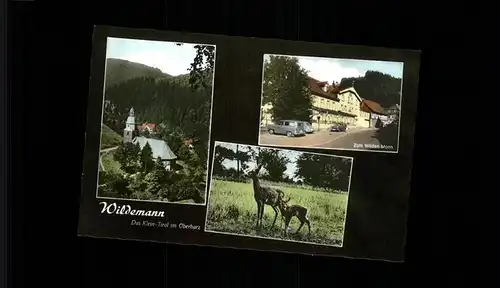 Wildemann Kirche Hotel Zum Wilden Mann Rehe Klein Tirol im Oberharz Kat. Wildemann