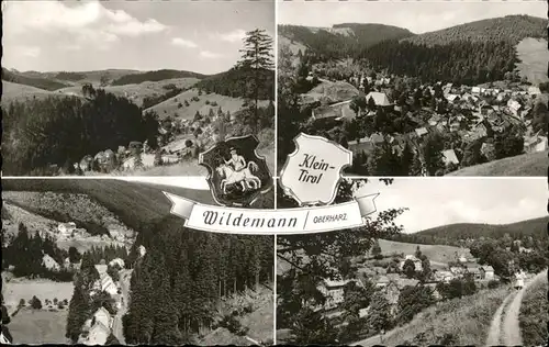 Wildemann Klein Tirol im Oberharz Teilansichten Wildemann Stadtwappen Kat. Wildemann
