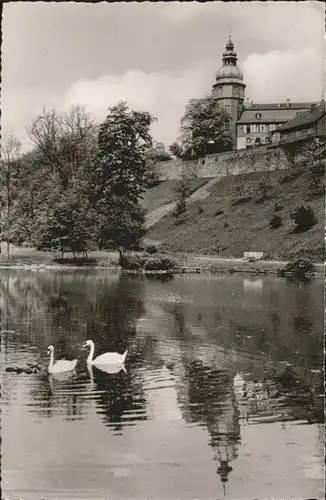 Bad Berleburg Schlossteich Schwan x