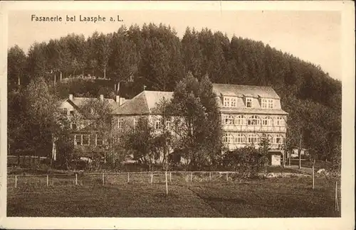 Bad Laasphe Hotel Fasanerie *