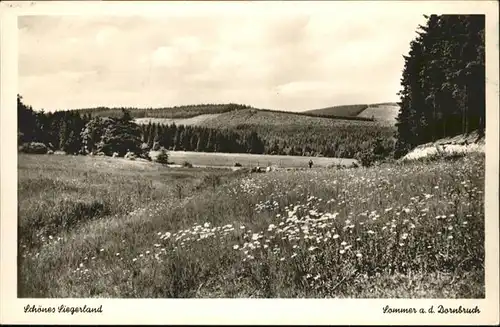 Hilchenbach Siegerland Hilchenbach [Stempelabschlag] Dornbruch x / Hilchenbach /Siegen-Wittgenstein LKR