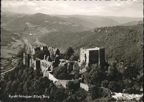 Nideggen Fliegeraufnahme Burg *