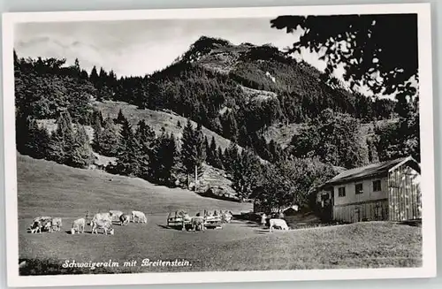 Birkenstein Birkenstein Schwaigeralm ungelaufen ca. 1955 / Fischbachau /Miesbach LKR