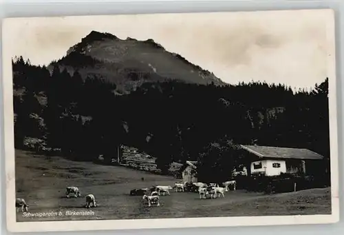 Birkenstein Schwaigeralm x 1927