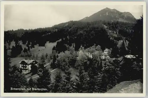 Birkenstein   