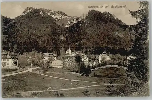 Birkenstein  x 1908