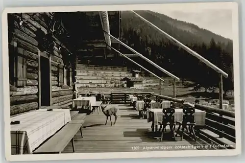 Rottach-Egern Alpenwildpark x 1938