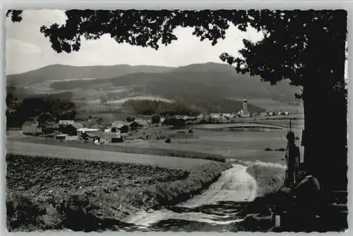 Regen Drachselried o 1961