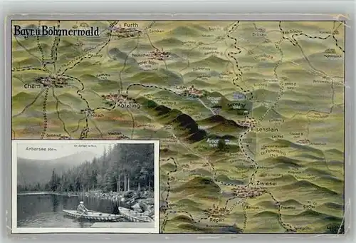 Regen Regen Bayrischer Boehmer Wald Eisenstein Zwiesel ungelaufen ca. 1910 / Regen /Regen LKR