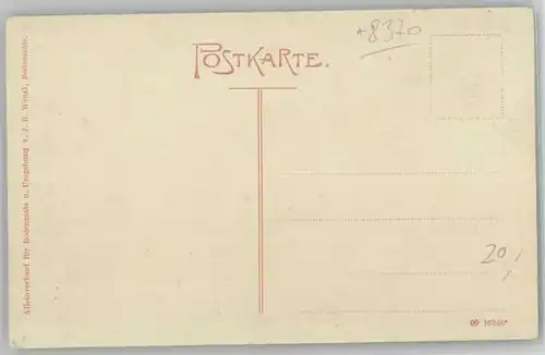 Regen Regen Bodenmais Zwiesel ungelaufen ca. 1910 / Regen /Regen LKR