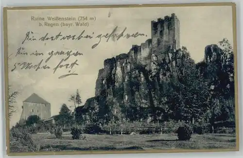 Regen  Ruine Weissenstein x 1927