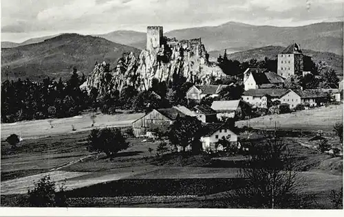 Regen Ruine Weissenstein  