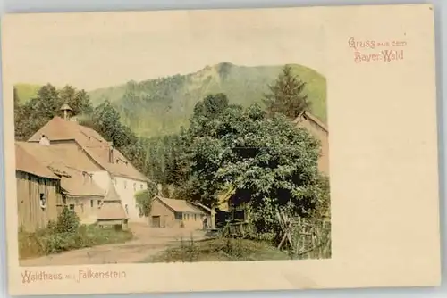 Falkenstein Rinchnach Waldhaus / Rinchnach /Regen LKR