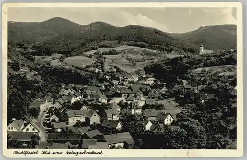 Buehlertal Buehlertal Oberbuehlertal  x / Buehlertal /Rastatt LKR