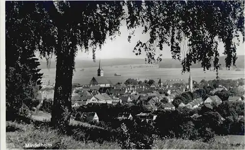 Mindelheim  *