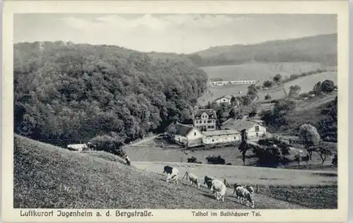 Jugenheim Talhof Balkhaeuser Tal *