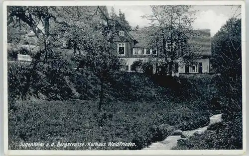 Jugenheim Kurhaus Waldfrieden *