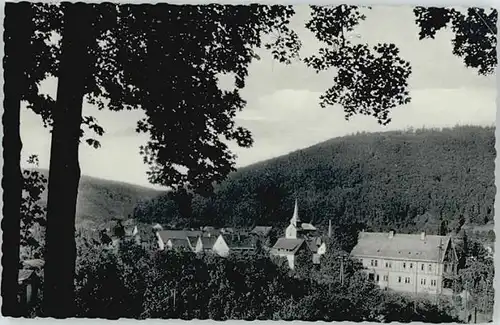 Bodenwerder Muenchhausens Geburtshaus *