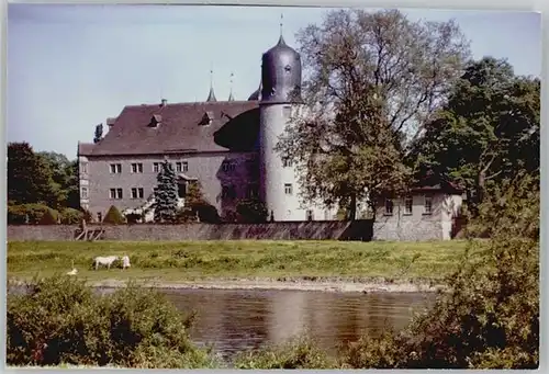 Bodenwerder Schloss Hehler *