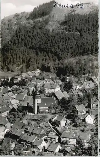 Lautenthal Kranichsberg *