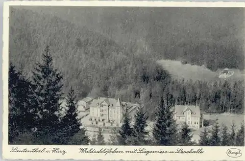 Lautenthal Wald Schloesschen x