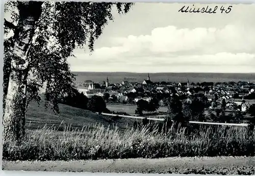 Mindelheim  *