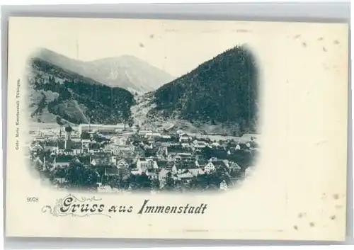 Immenstadt Allgaeu Immenstadt  * / Immenstadt i.Allgaeu /Oberallgaeu LKR