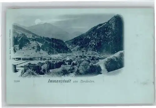 Immenstadt Allgaeu Immenstadt  * / Immenstadt i.Allgaeu /Oberallgaeu LKR