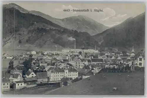 Immenstadt Allgaeu Immenstadt  x / Immenstadt i.Allgaeu /Oberallgaeu LKR