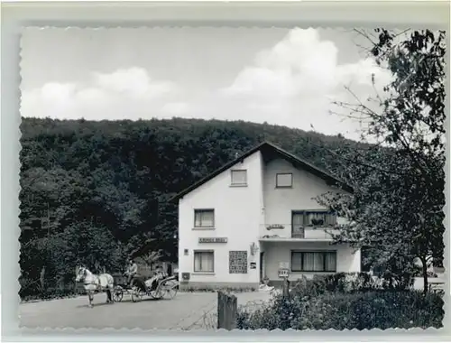 Biedenkopf Gaststaette Pension Zur Gruenen Au *