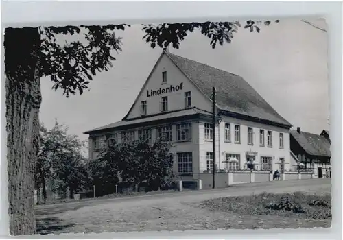 Schieder Hotel Lindenhof *