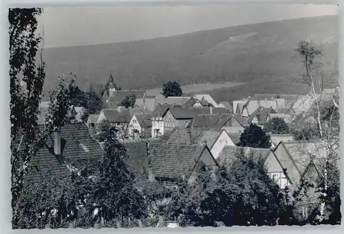 Schwalenberg  *