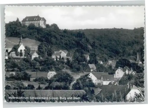 Schwalenberg Burg *