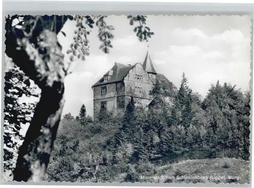 Schwalenberg Burg *
