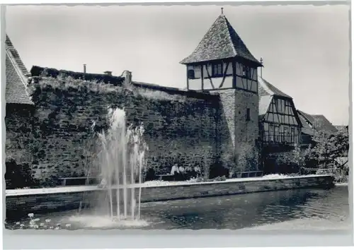 Michelstadt Stadtgarten Stadtmauer *