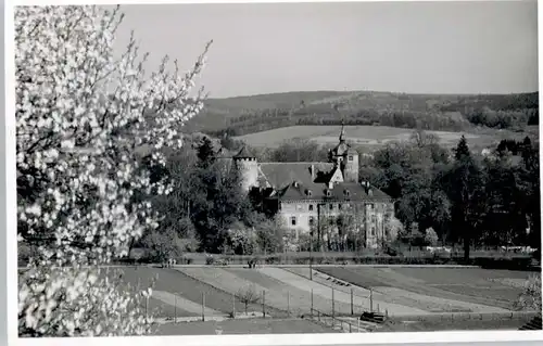 Michelstadt Schloss Fuerstenau *