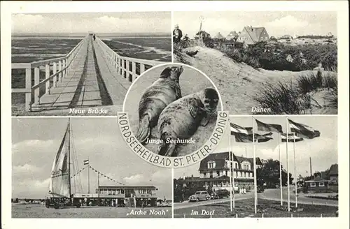 St Peter-Ording Seehunde Arche Noah / Sankt Peter-Ording /Nordfriesland LKR