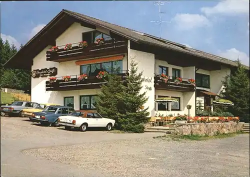 Hoechenschwand Berghotel Steffi Restaurant Weinklause Bar Cafe / Hoechenschwand /Waldshut LKR